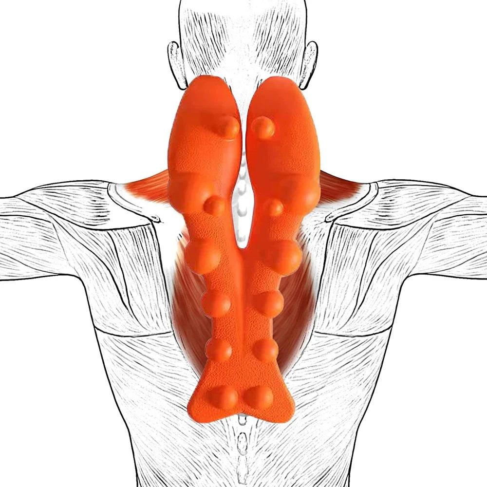 (NEW!) NECK & CERVICAL PAIN & POSTURE WIDGET