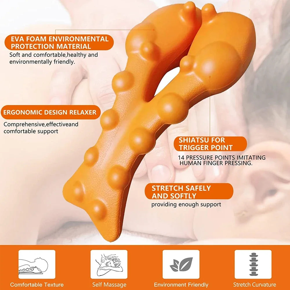 (NEW!) NECK & CERVICAL PAIN & POSTURE WIDGET